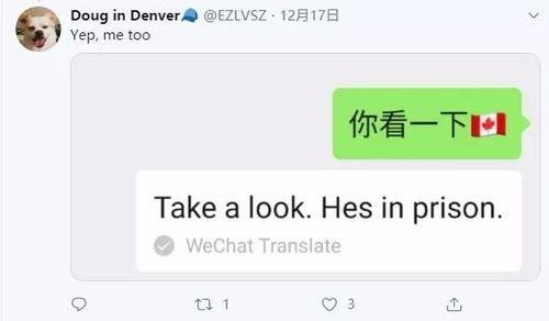 從“加拿大國旗”到“他在監獄中” 微信翻譯烏龍與官方致歉的背后